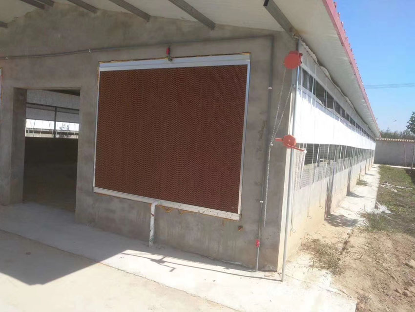 68bfed5c5694d.jpg 微信圖片_20200507102735.jpg